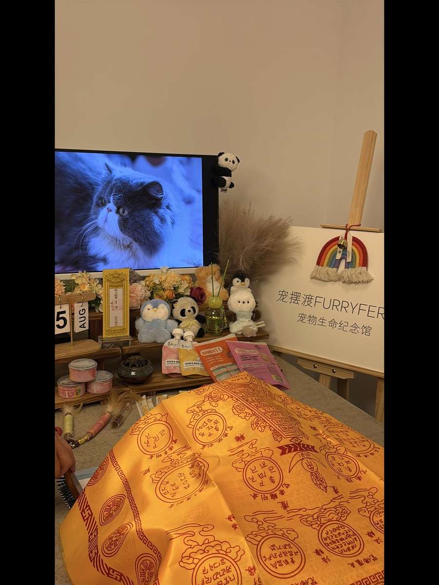 沈阳宠物单独火化